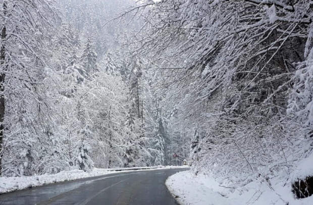 Объездная дорога в Григориополе временно перекрыта