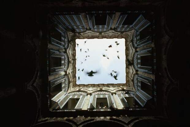 Стая птиц взлетает в закрытом внутреннем дворе в Старой Гаване, декабрь 1987 national geographic, неопубликованное, фото