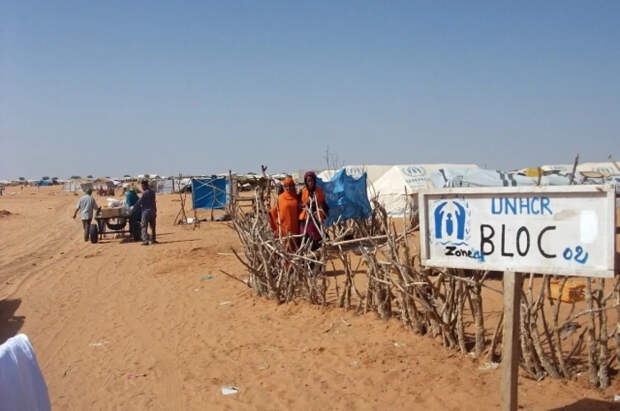 МИД России рекомендует воздержаться от поездок в Мали из‑за роста террористических угроз