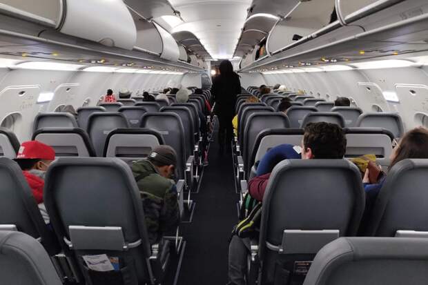 Авиапассажиров с двумя и более детьми обяжут сажать в самолетах рядом