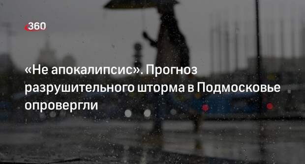 Синоптик Шувалов: штормовой ветер в Москве и Центральной России прекратится