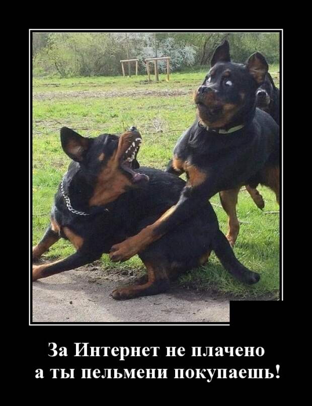 Демотиваторы (30 фото)