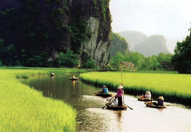 TamKok15