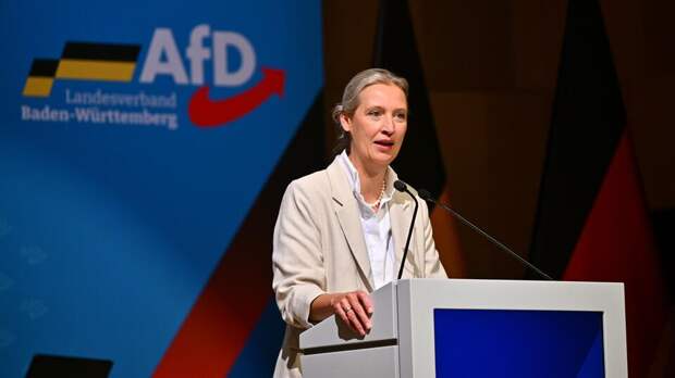 Лидер АдГ указала на приближающийся крах экономики Германии