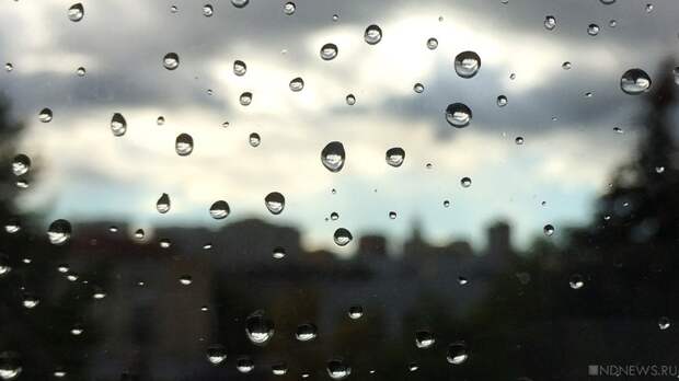 В Москве дожди будут идти почти всю неделю