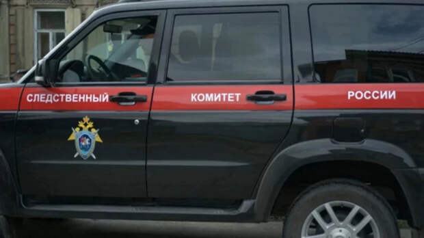 Юная жительница алтайского села украла деньги у спящей матери ради Нового года