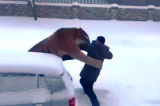 Жителю Приморья грозит штраф ₽100 тысяч за ИИ-видео с нападением тигра на мужчину