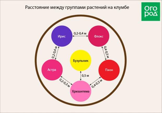 Расстояние между группами растений на клумбе