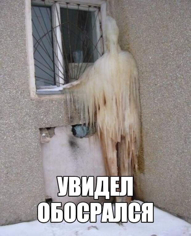 Смешные картинки с надписями прикол, юмор