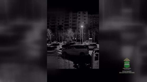 Мужчина уснул за рулем при попытке угона иномарки в Амурской области