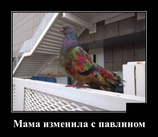 Демотиваторы (30 фото)
