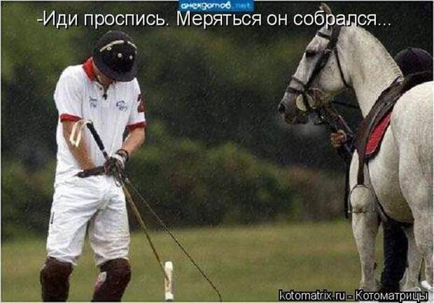 Мысли вслух :)