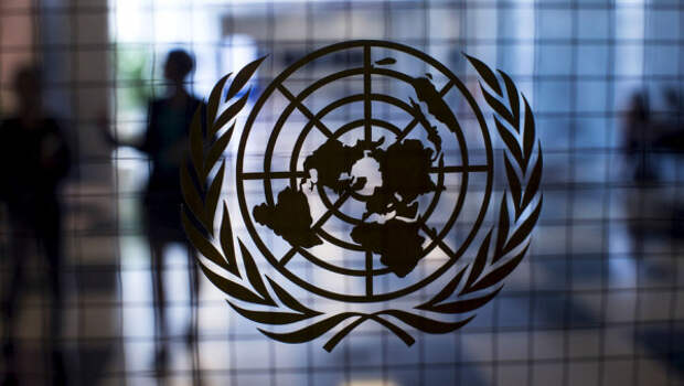 Делегация из ООН хочет посетить Крым