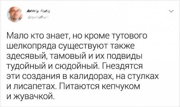 www.vsyako.net