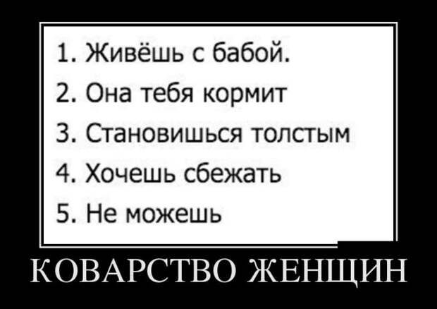 Демотиваторы