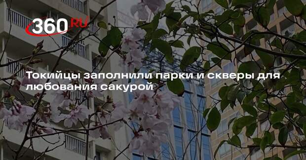 Токийцы заполнили парки и скверы для любования сакурой