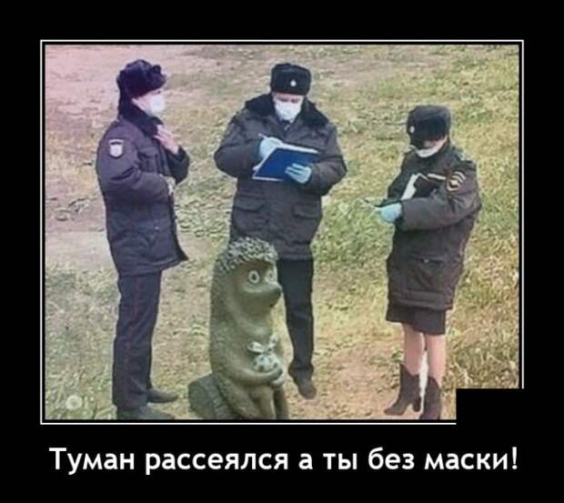 Демотиваторы 18 ноября 2020