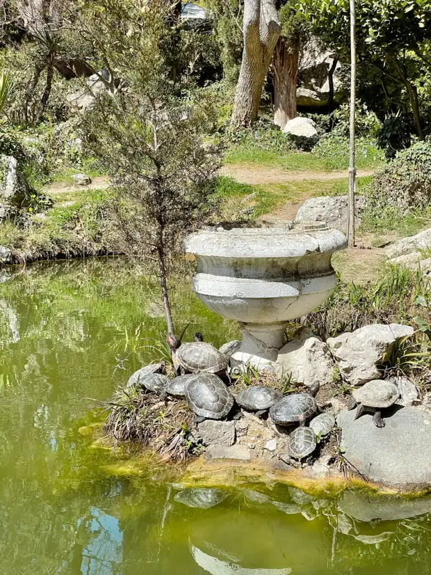 Как провести выходной в Крыму?