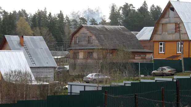 В Подмосковье заработала горячая линия по «дачной амнистии»