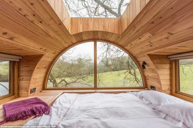 Домики на дереве отдыхают. В Англии построили роскошный эко-особняк на дереве! дизайн, дом, дом на дереве, жилье, интерьер, строительство, фото, экодом