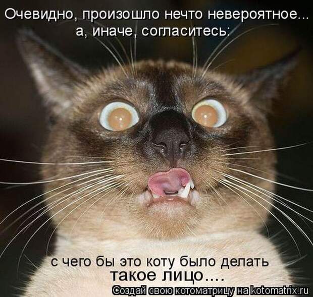 Мысли вслух :)