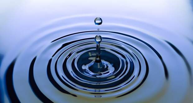 Фото: pixabay.com