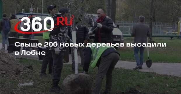 Свыше 200 новых деревьев высадили в Лобне