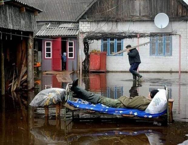 Люди, которые всегда сохраняют спокойствие (40 фото)