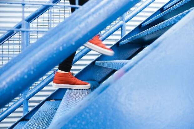 ECS: подъем по лестнице снижает риск внезапного ухода из жизни на 24%