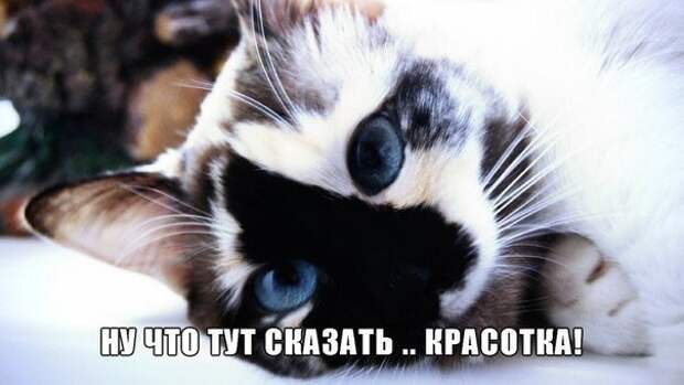 2860453395 (604x340, 100Kb)