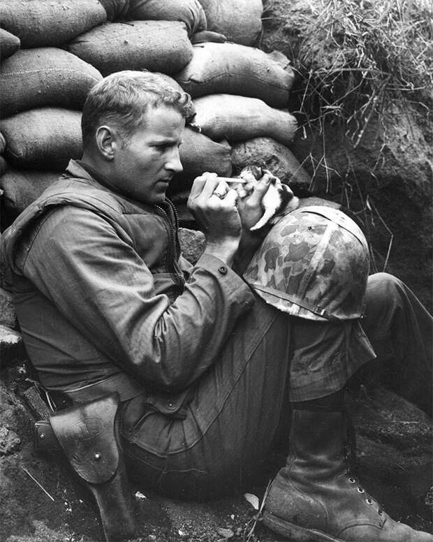 3. Американский военный кормит брошенного котенка. Снимок сделан во время Корейской войны архивные фотографии, лучшие фото, ретрофото, черно-белые снимки