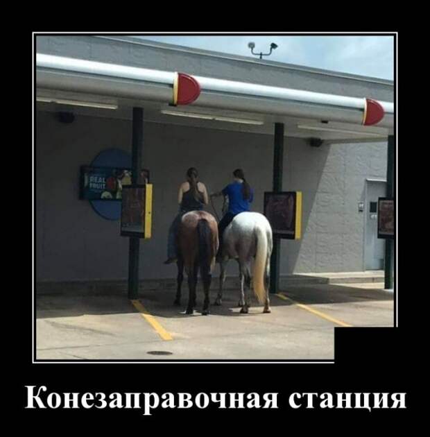 Демотиваторы (30 фото)