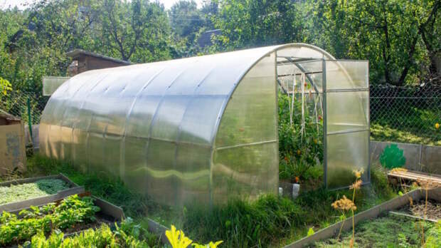 Слухи о необходимости регистрации теплиц на дачах прокомментировали в Госдуме