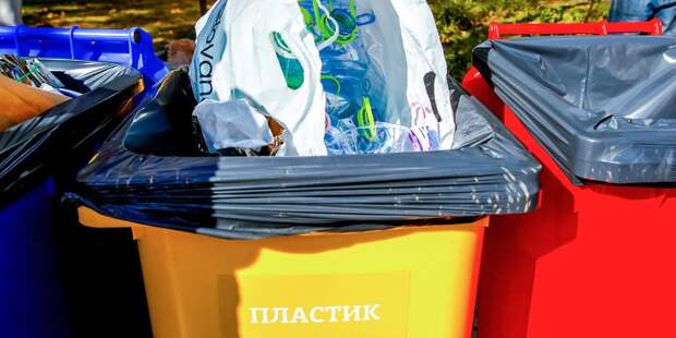 Фото с сайта mos.ru