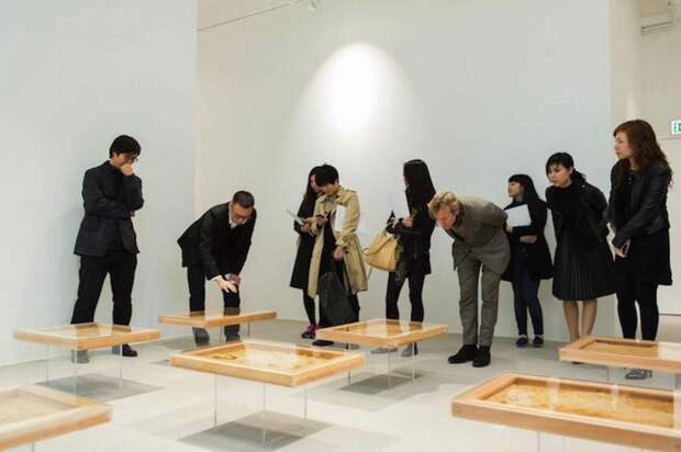 Восковые карты японского пчеловода Восковые карты японского пчеловода воск, карта, пчела, скульптура