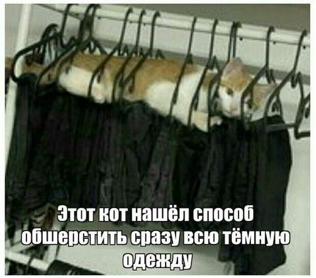 Свежие картинки с надписями этой пятницы
