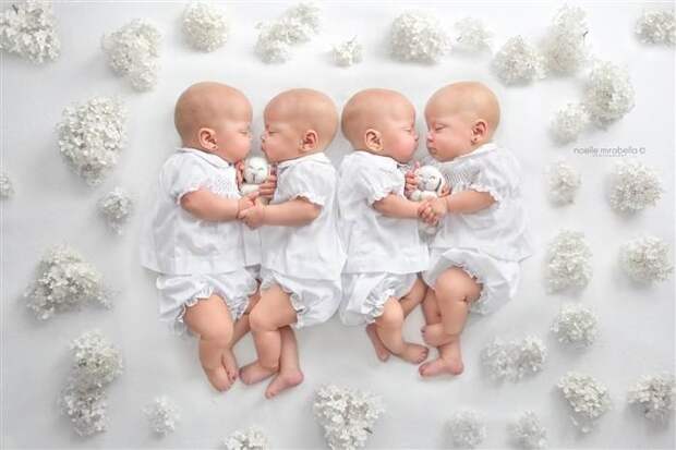 Привет, мир! Абсолютно одинаковые четверняшки выступают в качестве очаровательных фотомоделей беременность, близнецы, дети, фото