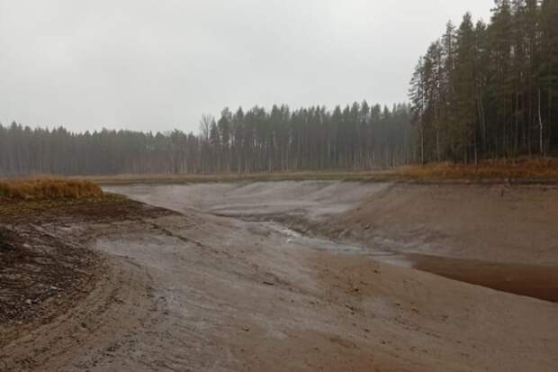 Уникальное явление: озеро площадью 8 км² внезапно пропало в Вологодской области