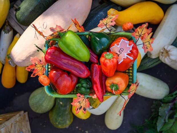 В марте в Подмосковье пройдет более 200 тематических ярмарок