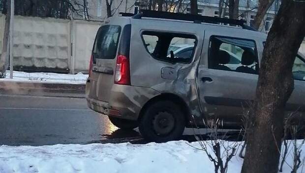 Необычное ДТП из Подмосковья: пони врезался в автомобиль