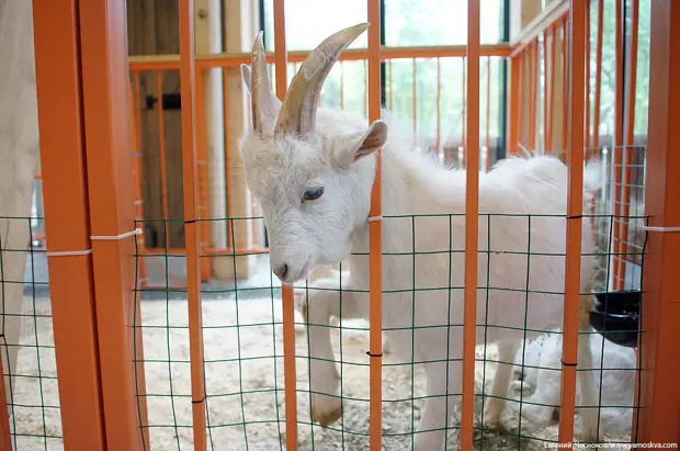 8 ������ 2019 ����/ � 1939 ���� �� �������� ��������� ������ ��������� �������������� ������� � ������� ������� ���������, � �� ������ ��������� ������, ��������� ���� ��� �������������� ������.-78