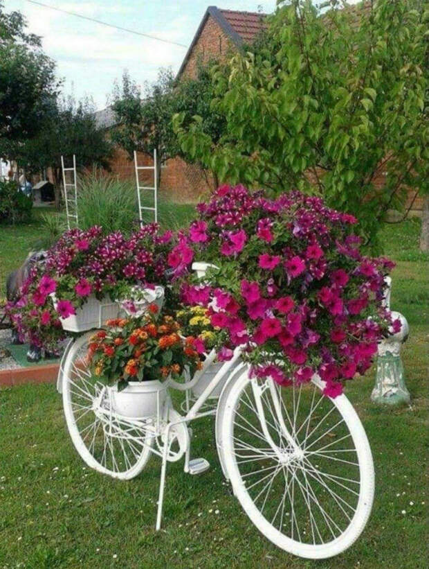 Декоративная цветочная клумба. | Фото: Pinterest. Декоративная цветочная клумба. | Фото: Pinterest.