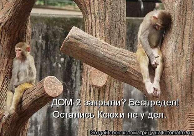 Мысли вслух :)