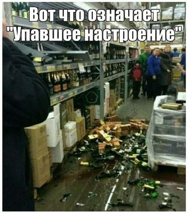 Ржачные до слез свежие картинки с надписями (вторник)