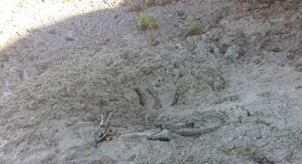 Спасение застрявших в грязи, две женщины и собака, утопли в грязи, Херне Бэй