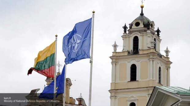 Аналитик Гаспарян призвал РФ незамедлительно отреагировать на провокации со стороны Литвы