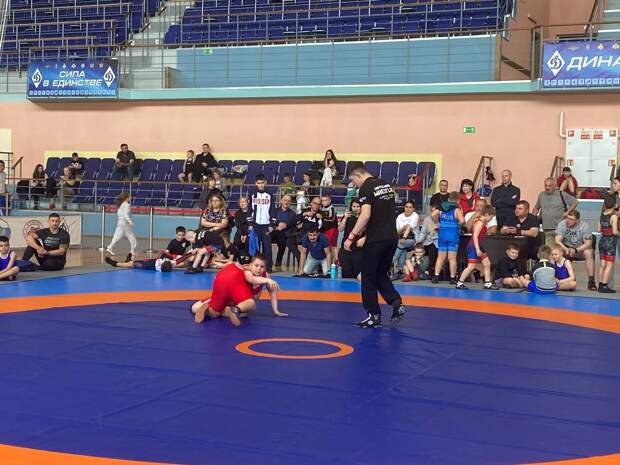 Благотворительный фонд «Мамино сердце» организовал первый в Рязани турнир «Кубок Академии единоборств»