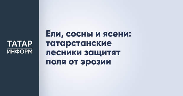 Ели, сосны и ясени: татарстанские лесники защитят поля от эрозии