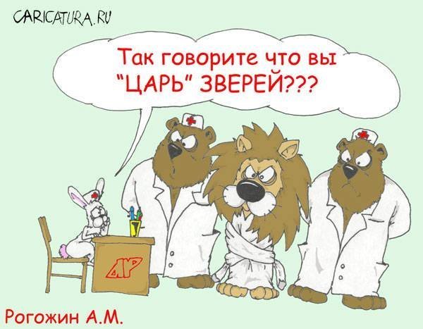 Животный юмор животные в юморе ., карикатуры, рисунки, юмор