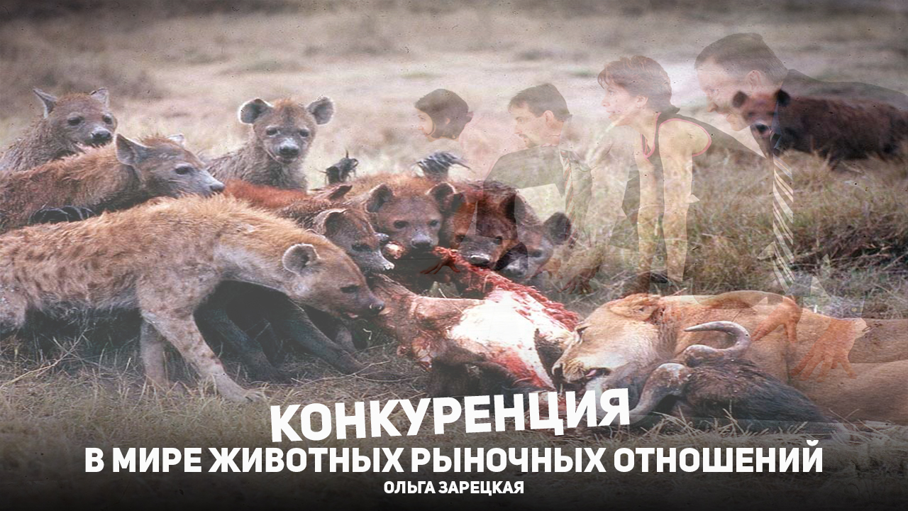 Конкуренция животных рыночных отношений